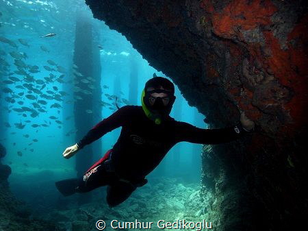 My Buddy by Cumhur Gedikoglu 