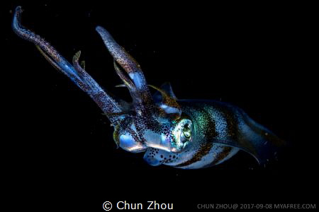 Starry Eyes in the black by Chun Zhou 