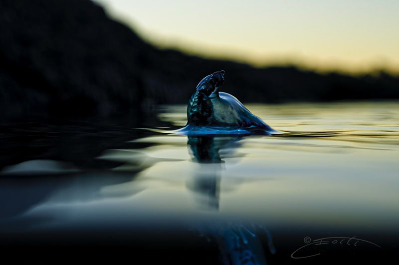 ~ Sailing Away ~ by Geo Cloete 
