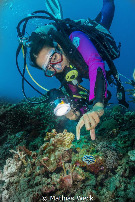 Large Nudibranch by Mathias Weck 