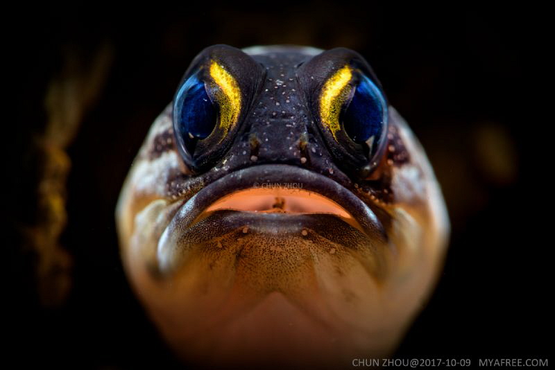 Where are eggs? by Chun Zhou 