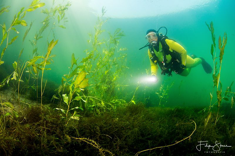 Exploring the pond of Ekeren, Belgium. Model: Marlène Ter... by Filip Staes 