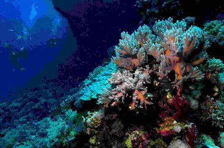Had great trip on Hurrican in the Red Sea,last month - th... by Malcolm Nimmo 