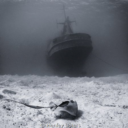 Last Wreck Standing by Henley Spiers 