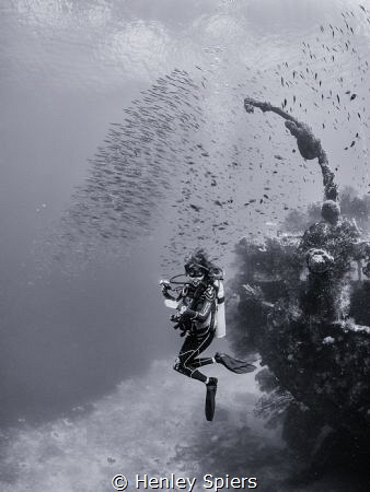 Dream Dive by Henley Spiers 