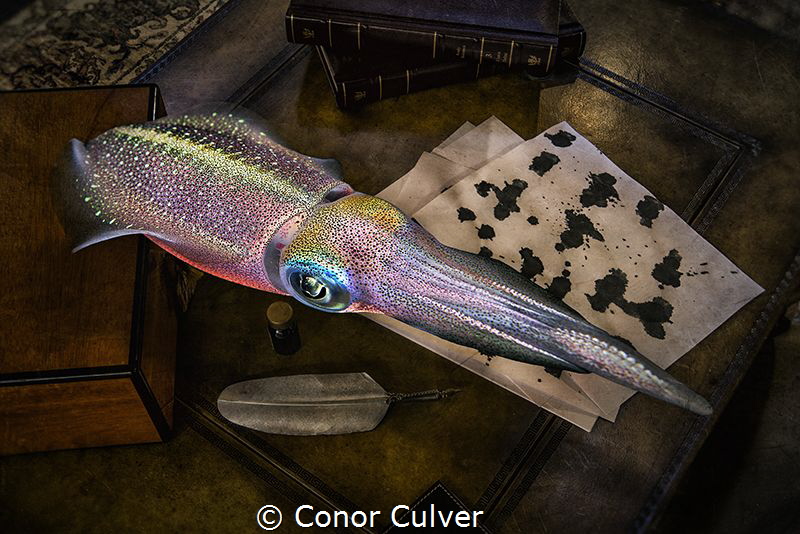 "The Writer" part of my Underwater Surrealism body of wor... by Conor Culver 