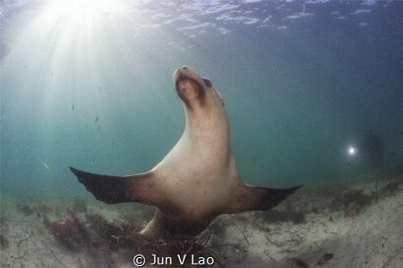 if you're happy and you know it clap your hands by Jun V Lao 