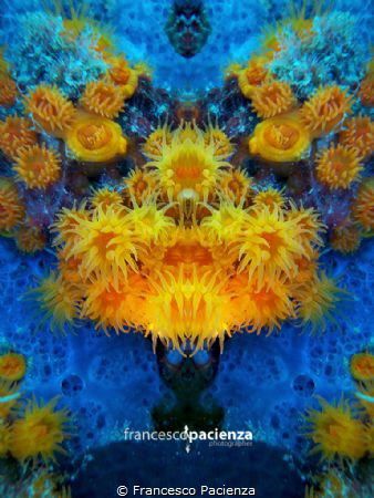 Colors.
Playing with Nikon Coolpix W110. by Francesco Pacienza 