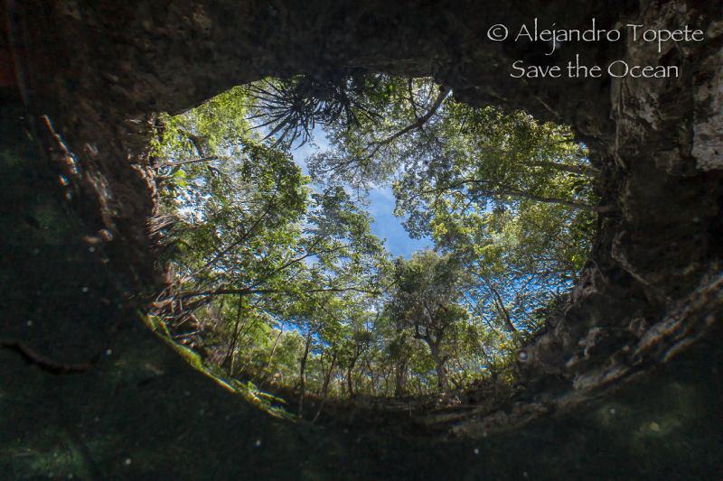 Dream gates Eye, Playa del Carmen México by Alejandro Topete 