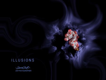 I L L U S I O N S by Ipah Uid 