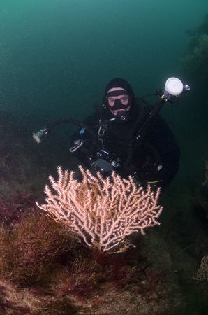 Mark with a pink sea fan. 10.5mm, D200.
Cornwall. by Derek Haslam 