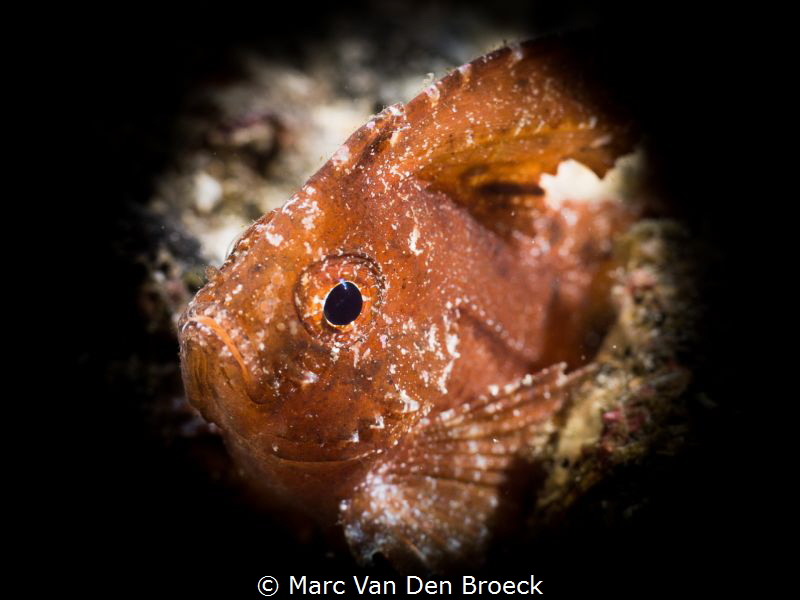 black sheet by Marc Van Den Broeck 