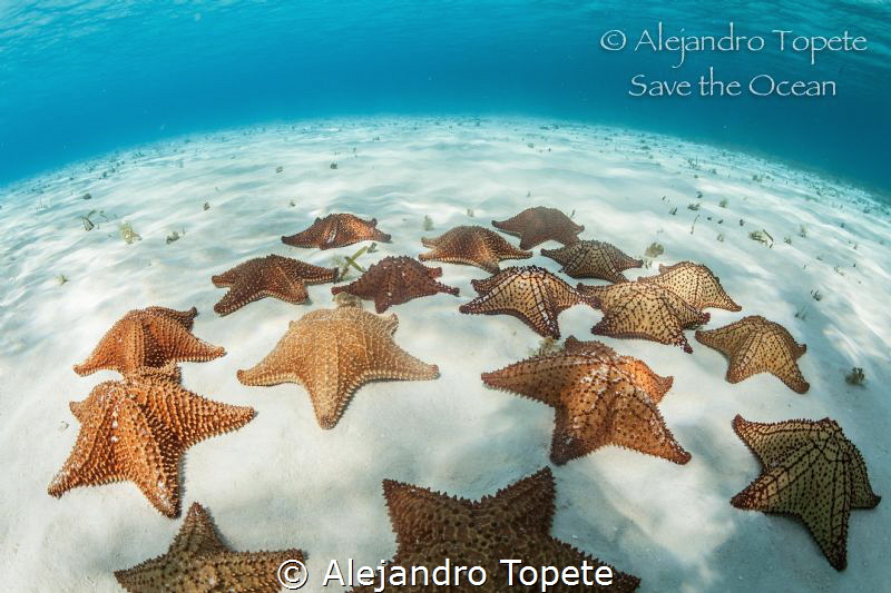 Stars in the Sky, Cozumel México
 by Alejandro Topete 