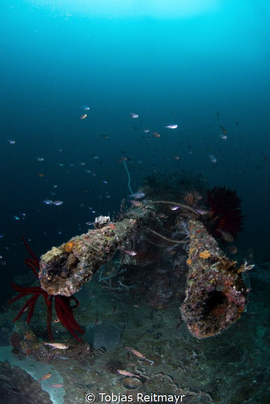 Anti Aircraft guns, Gyoshin Maru, Tioman Island by Tobias Reitmayr 