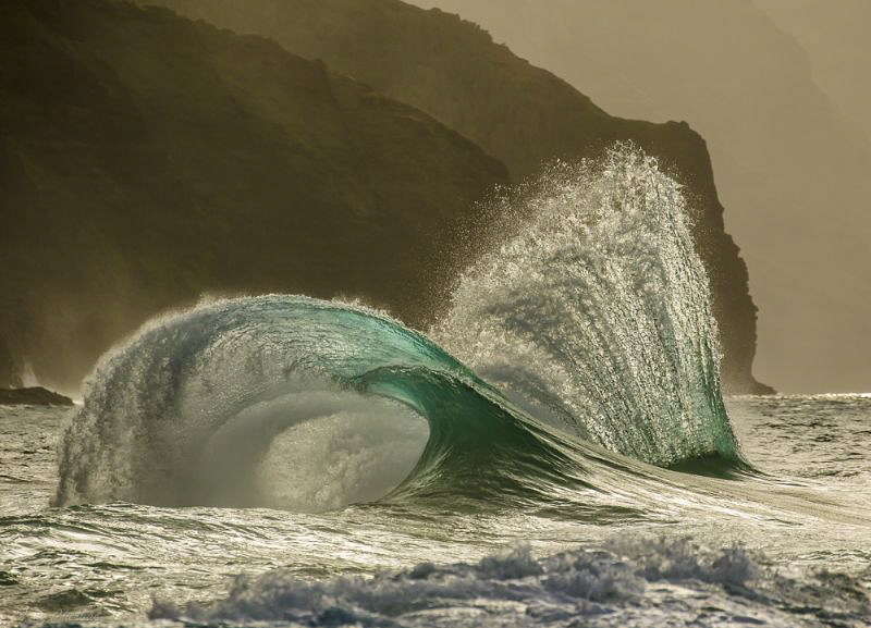 Ocean Sculptures by Tony Cherbas 