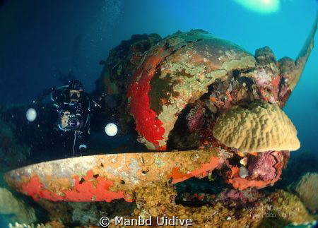 SEAPLANE
Fish 'n Fins Palau by Manbd Uidive 