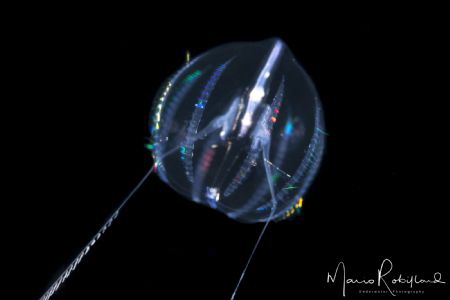 Underwater flying saucer by Mario Robillard 