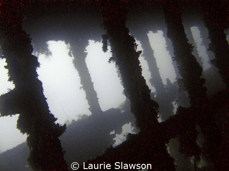 Wreck of the S.S. Nordby in Huahine, French Polynesia. by Laurie Slawson 