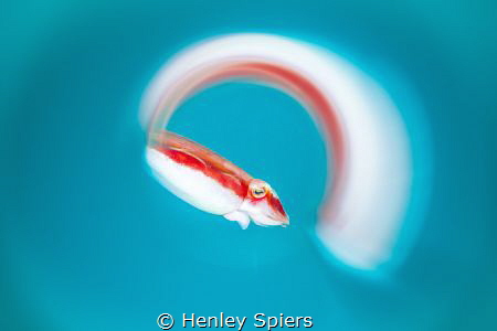 Cuttlefish Thrusters by Henley Spiers 