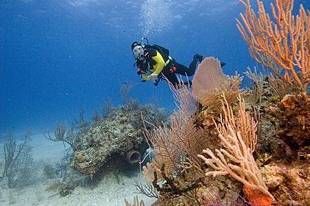 A diver enjoying the clear waters of the Bahamas by Michael Shope 