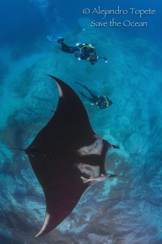 Scooby, Arturo and Mantarray, Roca Oneil Isla Socorro México by Alejandro Topete 