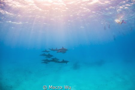 Enjoy the sunshine and the gift of the ocean！ by Macro Wu 