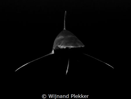 I.am.Oceanic. by Wijnand Plekker 