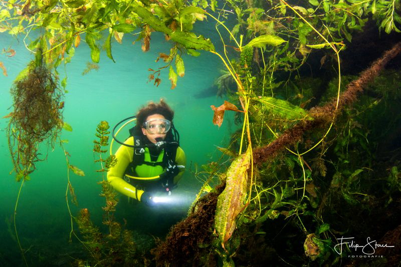 Freshwater jungle, Pond of Ekeren, Belgium, model: Marlèn... by Filip Staes 