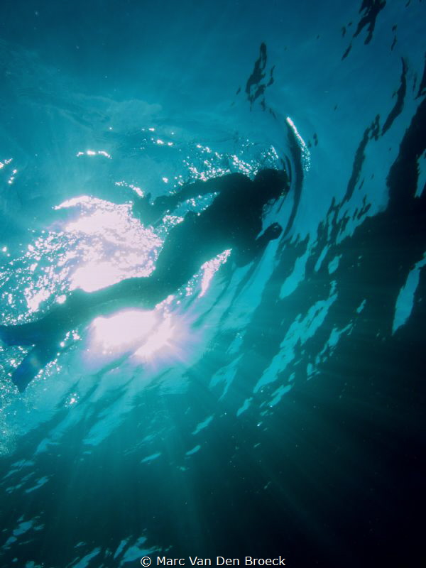 snorkelinthesun by Marc Van Den Broeck 