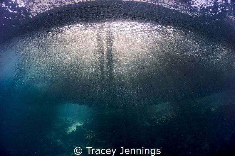 Under the boat by Tracey Jennings 
