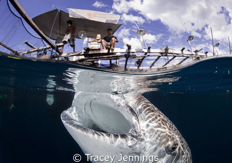 The remarkable relationship between the fishermen and wha... by Tracey Jennings 
