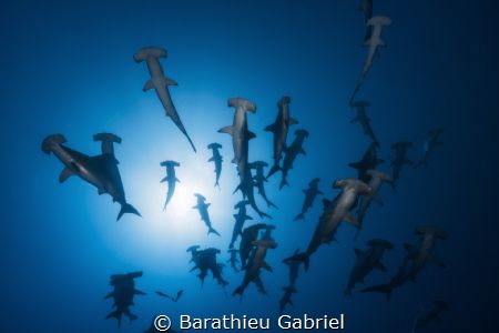 An unforgettable encounter with my friend Olivier on the ... by Barathieu Gabriel 
