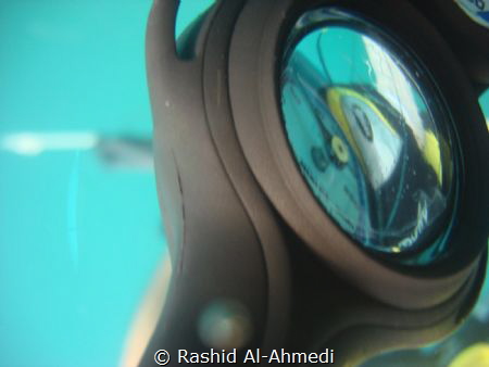 Very random at safety stop but looks nice by Rashid Al-Ahmedi 