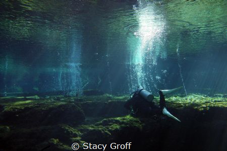Taken at Ginnie Springs, FL.  Diver over the top of the c... by Stacy Groff 
