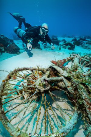 Diving at a popular site in Cozumel, my buddy and I found... by Gustavo Costa 