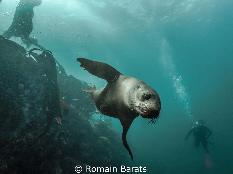 best buddy ever by Romain Barats 