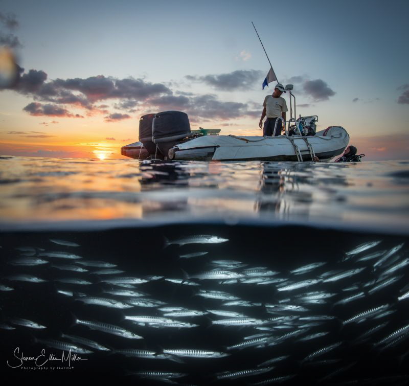 Wakatobi night dive by Steven Miller 