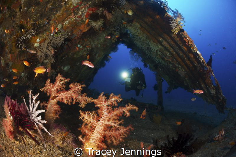 Model in artificial reef at Atmosphere Resorts by Tracey Jennings 