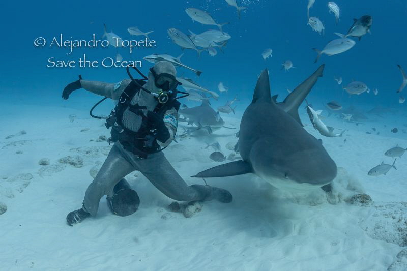 Octavio and the Bull Shark, Playa del Carmen México by Alejandro Topete 