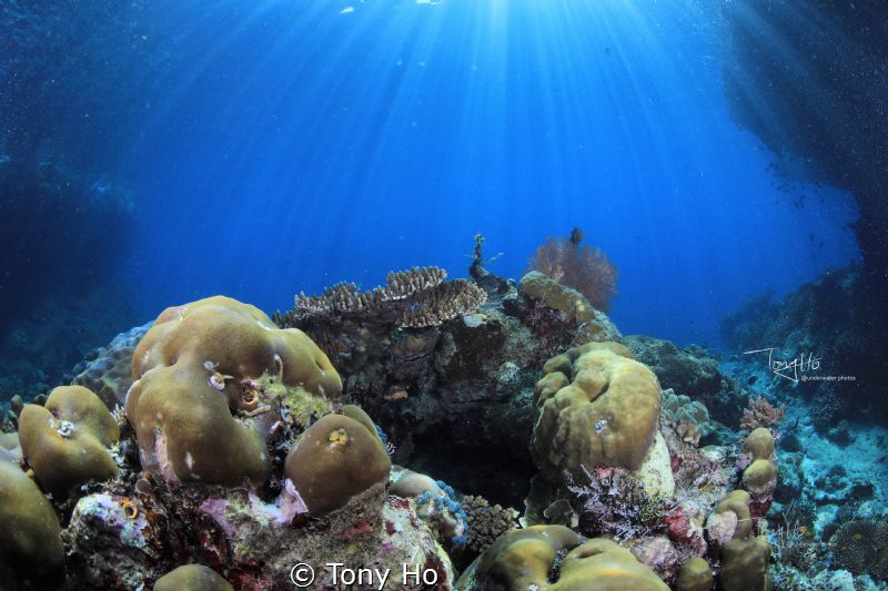 This is the light that has been trying to catch on the oc... by Tony Ho 