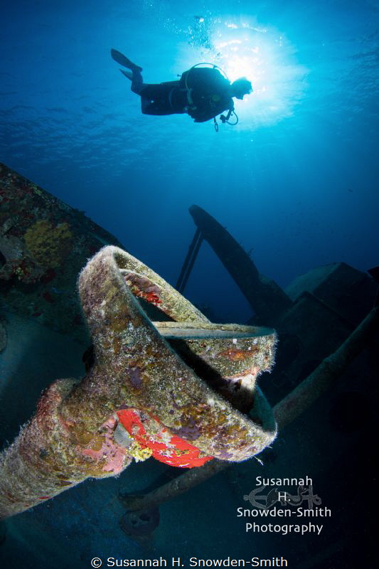 Grand Cayman - The compass on the Kittiwake, which is lev... by Susannah H. Snowden-Smith 