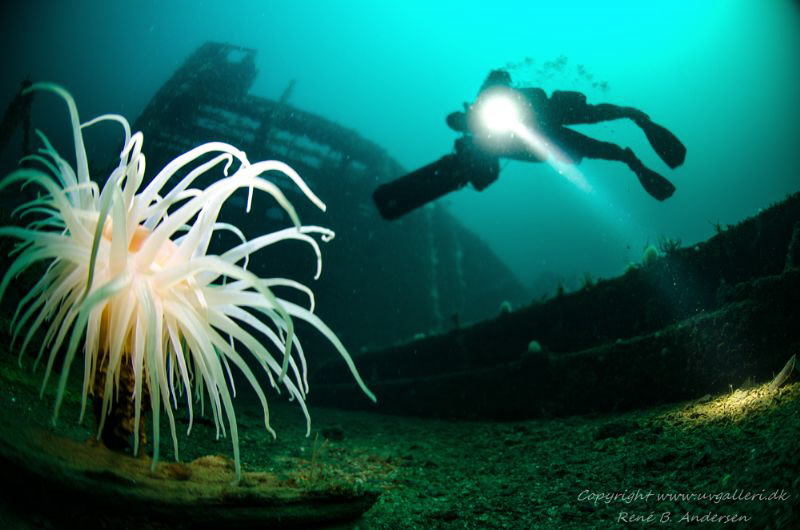 Konsul Carl Fisser WW2 wreck in Ålesund, Norway.
The wre... by Rene B. Andersen 