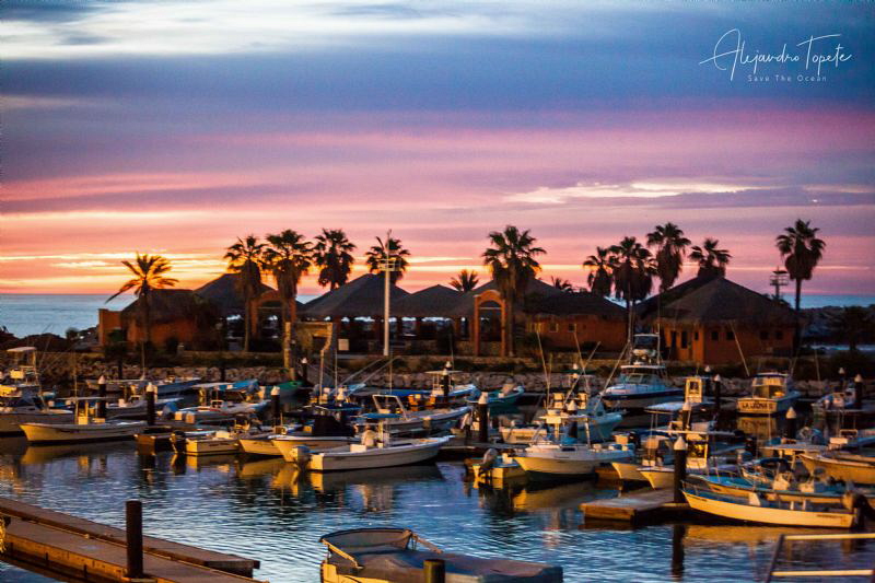 Sunshine in San Jose, San Jose del Cabo Mexico by Alejandro Topete 