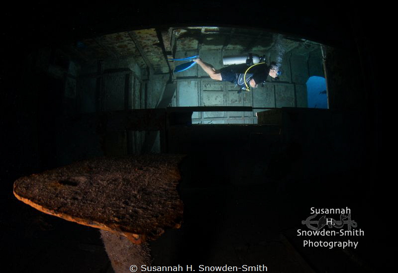 Enlarge to see detail: I used a remote strobe to light up... by Susannah H. Snowden-Smith 