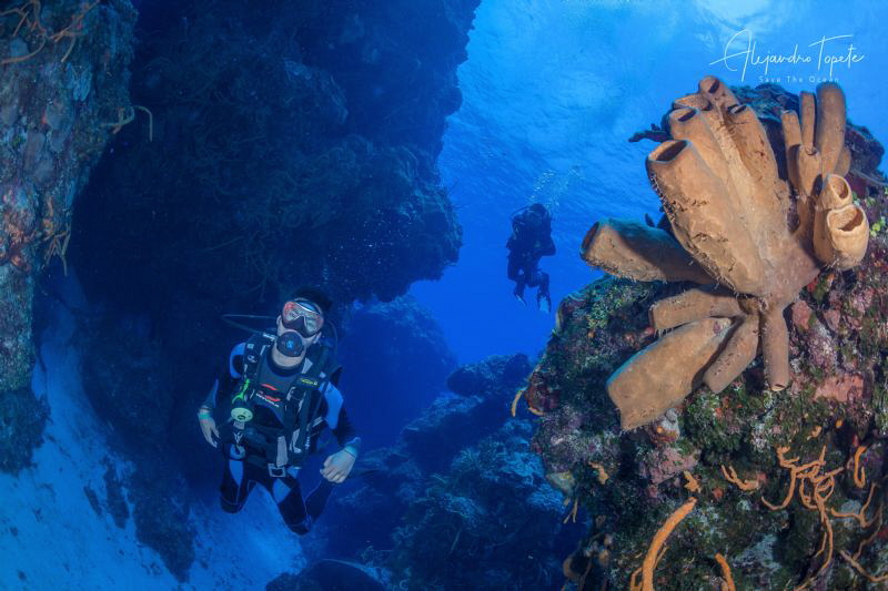 Divers with Reef, Cozumel Mexico by Alejandro Topete 