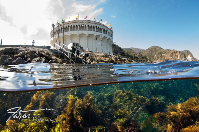 at Avalon Dive Park, Catalina Island, California by Michael Fabos 