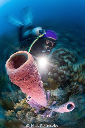 Scuba Diver Natalia looking up at the tall standing tube ... by Nick Polanszky 