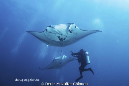 When the documantary shooting by Deniz Muzaffer Gökmen 
