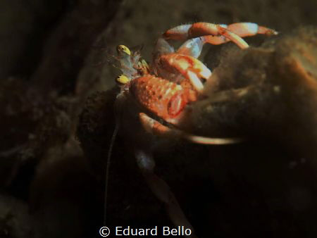 Just behind a pilar by Eduard Bello 