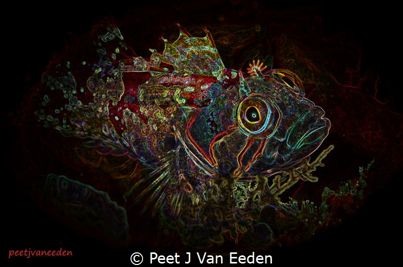 Creative Image of a Klipvis by Peet J Van Eeden 